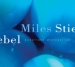 Excellent Distraction from Miles Stiebel